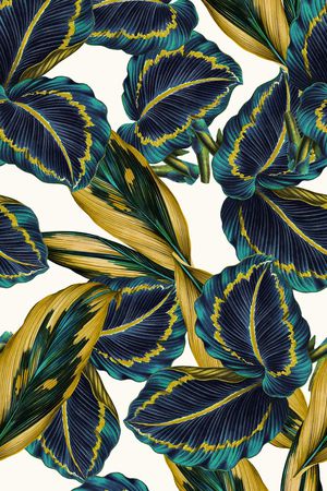 高清花卉印花华亿平台图片