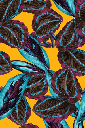 高清花卉印花华亿平台图片