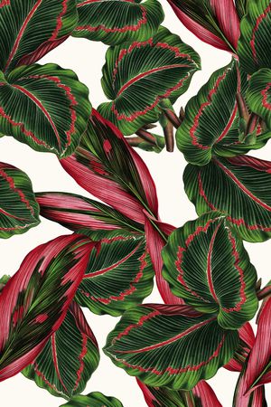 高清花卉印花华亿平台图片