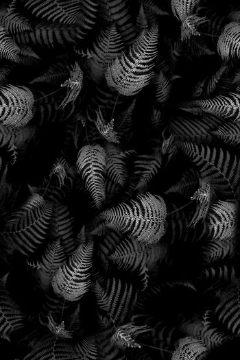 867272-FLZ17-6-13....