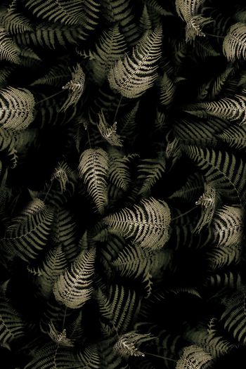 867273-FLZ17-6-13...