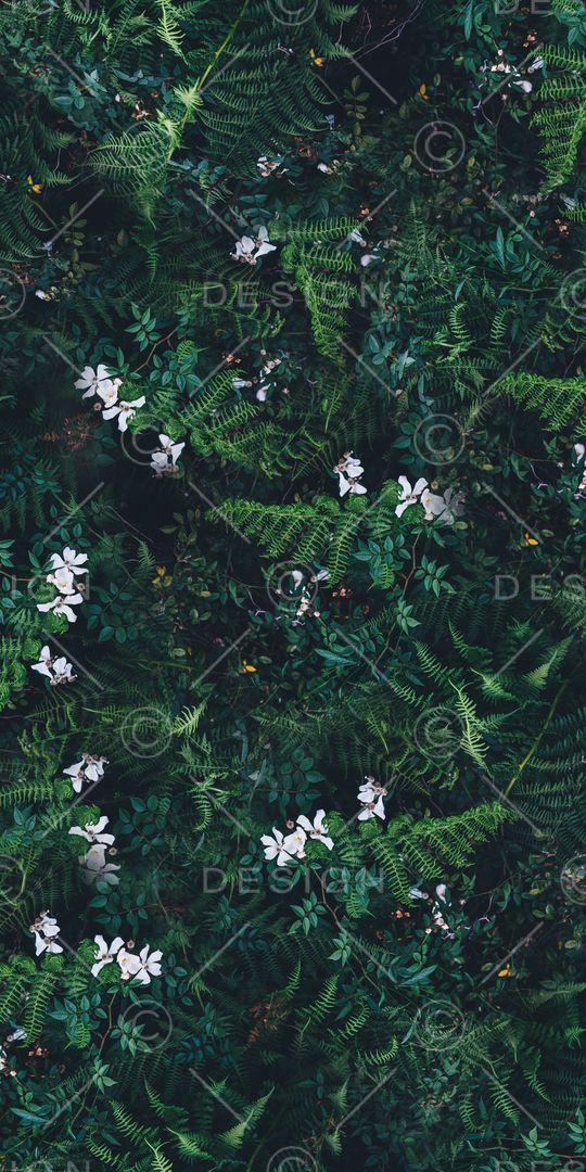 乱花印花华亿平台图片