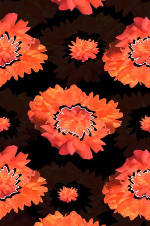 男装印花华亿平台图片