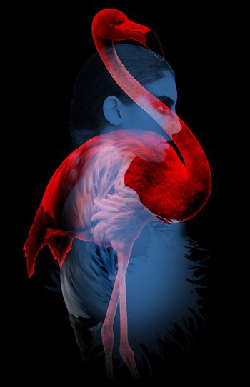 趣味印花华亿平台图片