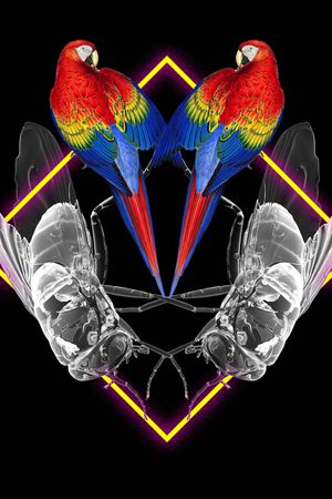 趣味印花华亿平台图片