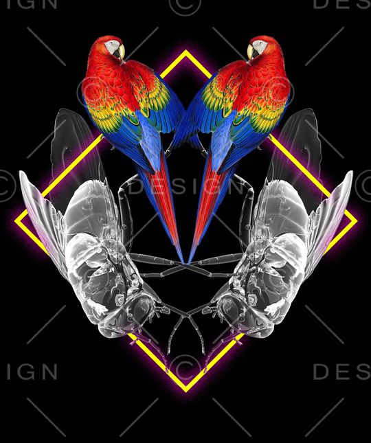 趣味印花华亿平台图片