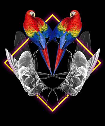 趣味印花华亿平台图片