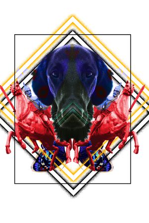 趣味印花华亿平台图片