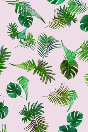 棕榈叶印花华亿平台图片