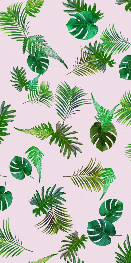 棕榈叶印花华亿平台图片