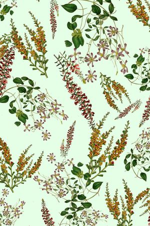 热带印花华亿平台图片