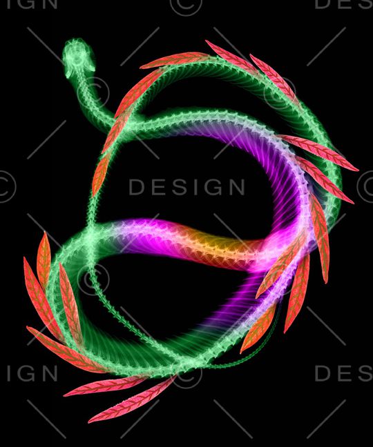 漫画印花华亿平台图片