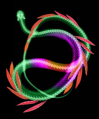 漫画印花华亿平台图片