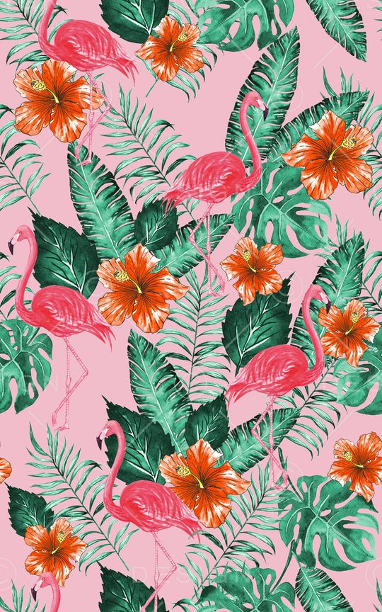 热带印花华亿平台图片