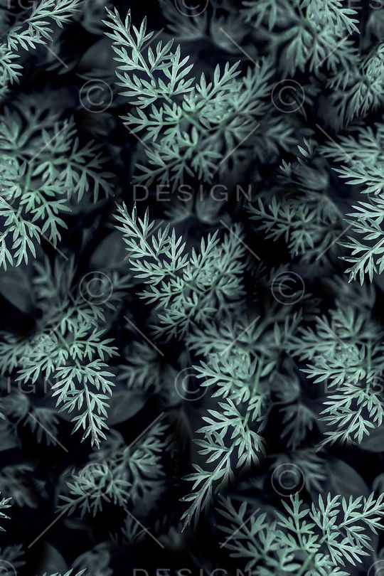 植物印花华亿平台图片