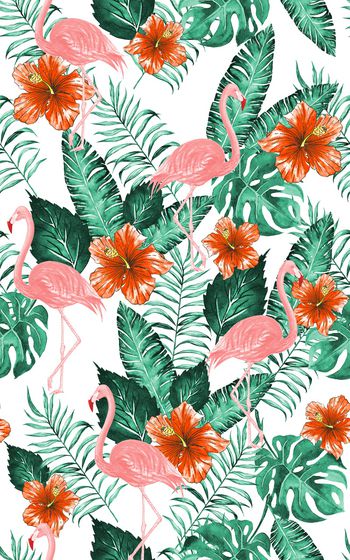 868389-20170610 tropical