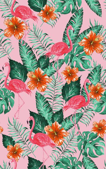 868391-20170610 tropical