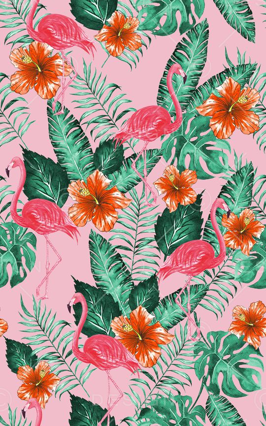 热带印花华亿平台图片