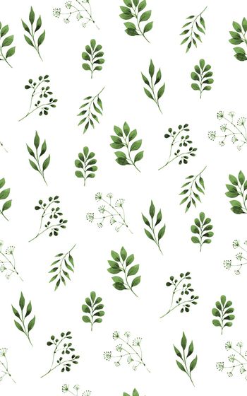 868480-20170610 rose