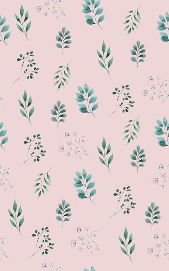 868482-20170610 rose-2