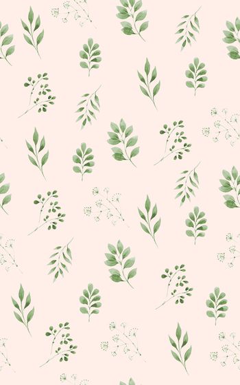 868485-20170610 rose-5