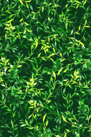 热带印花华亿平台图片