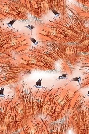 休闲印花华亿平台图片