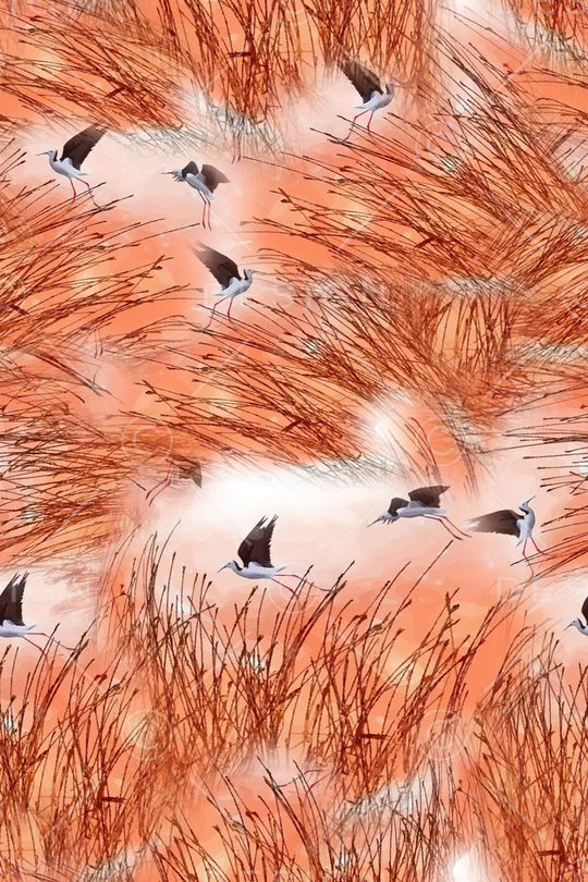 休闲印花华亿平台图片