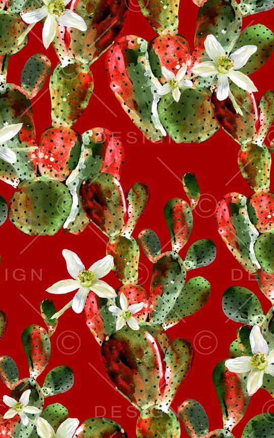 仙人掌印花华亿平台图片