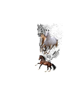 创意印花华亿平台图片