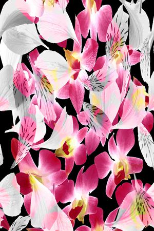 植物印花华亿平台图片