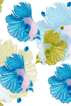 热带鱼印花华亿平台图片