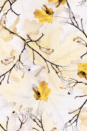 树叶印花华亿平台图片