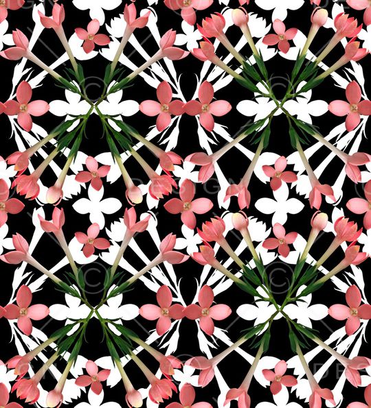 镜像花卉印花华亿平台图片