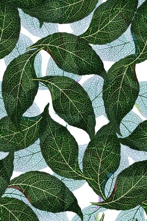 高清花卉印花华亿平台图片