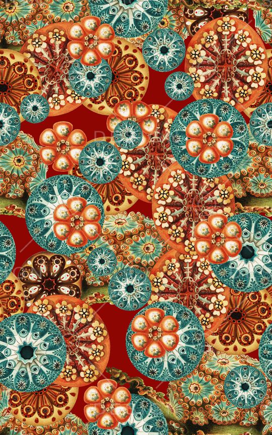 欧式印花华亿平台图片