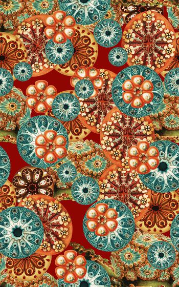 欧式印花华亿平台图片