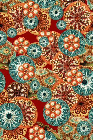 欧式印花华亿平台图片