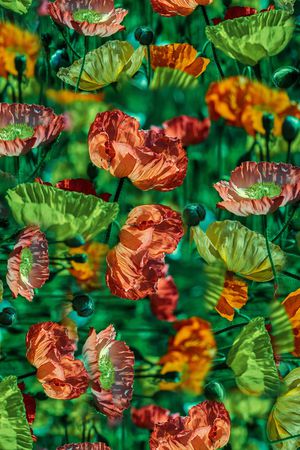 花卉印花华亿平台图片