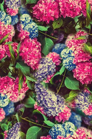 满花印花华亿平台图片