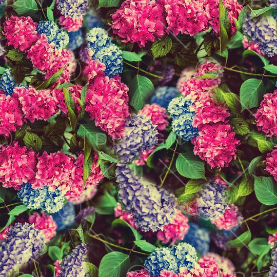 满花印花华亿平台图片