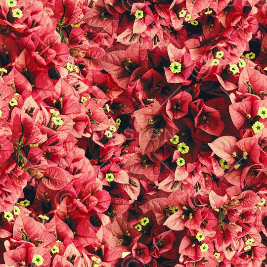 满花印花华亿平台图片