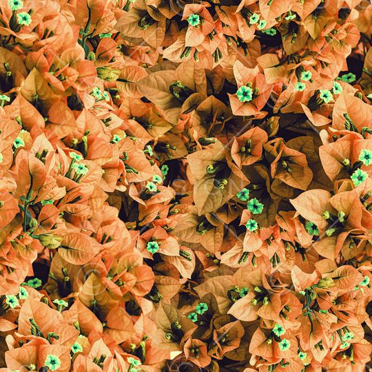 满花印花华亿平台图片