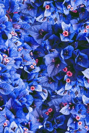 满花印花华亿平台图片