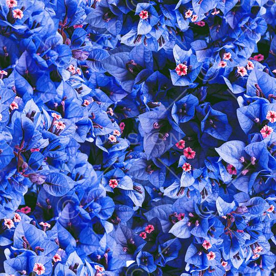 满花印花华亿平台图片