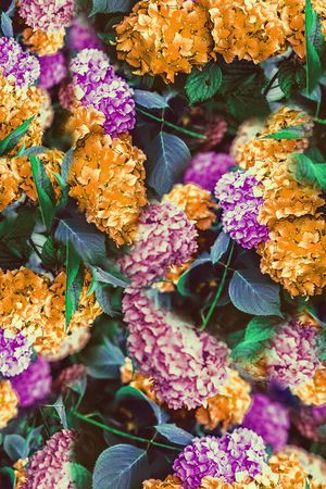 满花印花华亿平台图片