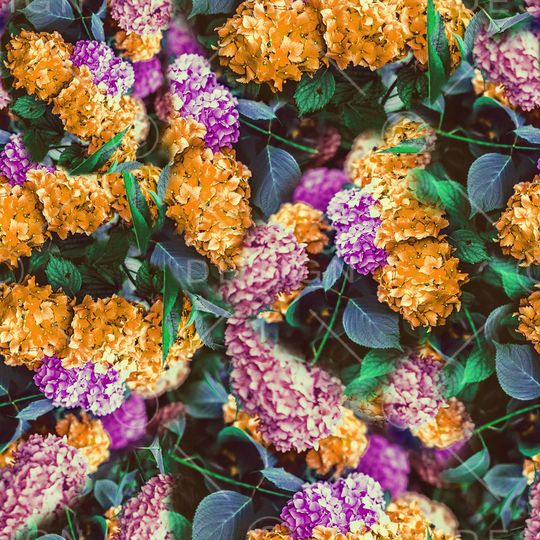 满花印花华亿平台图片