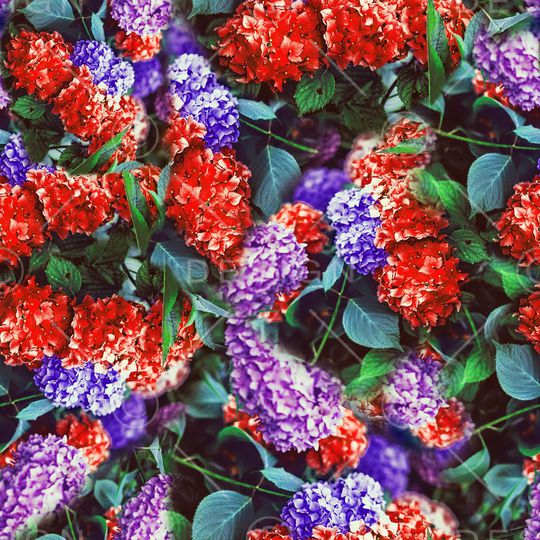 满花印花华亿平台图片