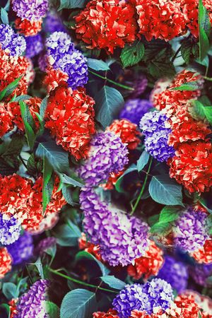 满花印花华亿平台图片