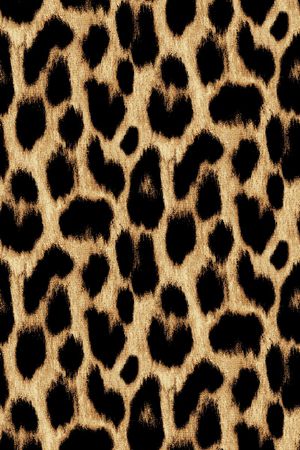 动物纹印花华亿平台图片